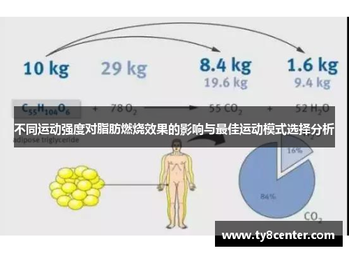 不同运动强度对脂肪燃烧效果的影响与最佳运动模式选择分析